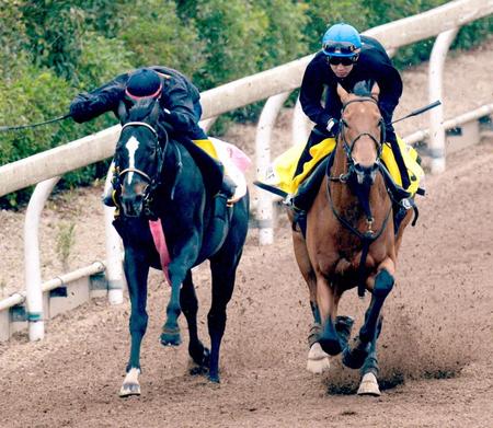 美浦坂路でディサイファと併せたサンマルデューク（左）
