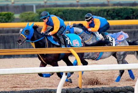 　栗東ＣＷで俊敏な動きを見せたスマートオーディン（左）