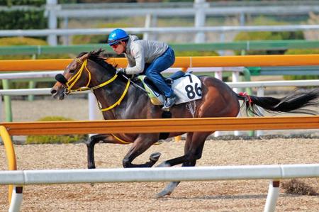　福永を背に栗東ＣＷで追い切るサウンズオブアース