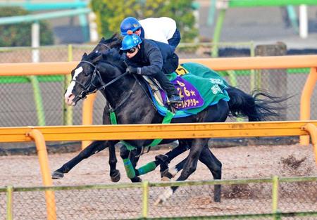 　ゴールドアクター（手前）は美浦Ｗで力強い動きを披露（撮影・三好信也）