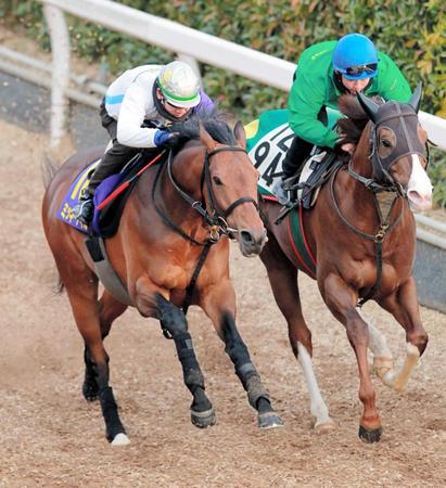 　松山を背に猛時計をマークしたミッキーアイル（左）＝撮影・石湯恒介