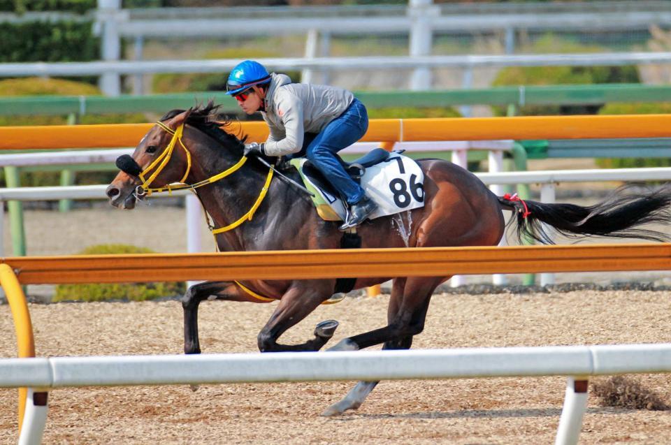 　福永を背に栗東ＣＷで追い切るサウンズオブアース