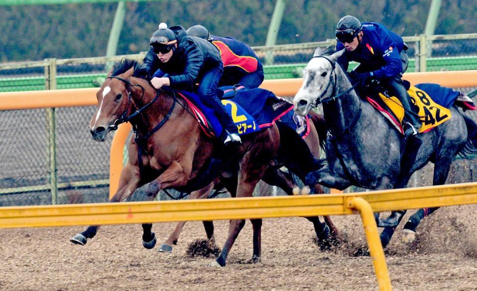 　美浦Ｗで３頭併せを行ったアルビアーノ（左）