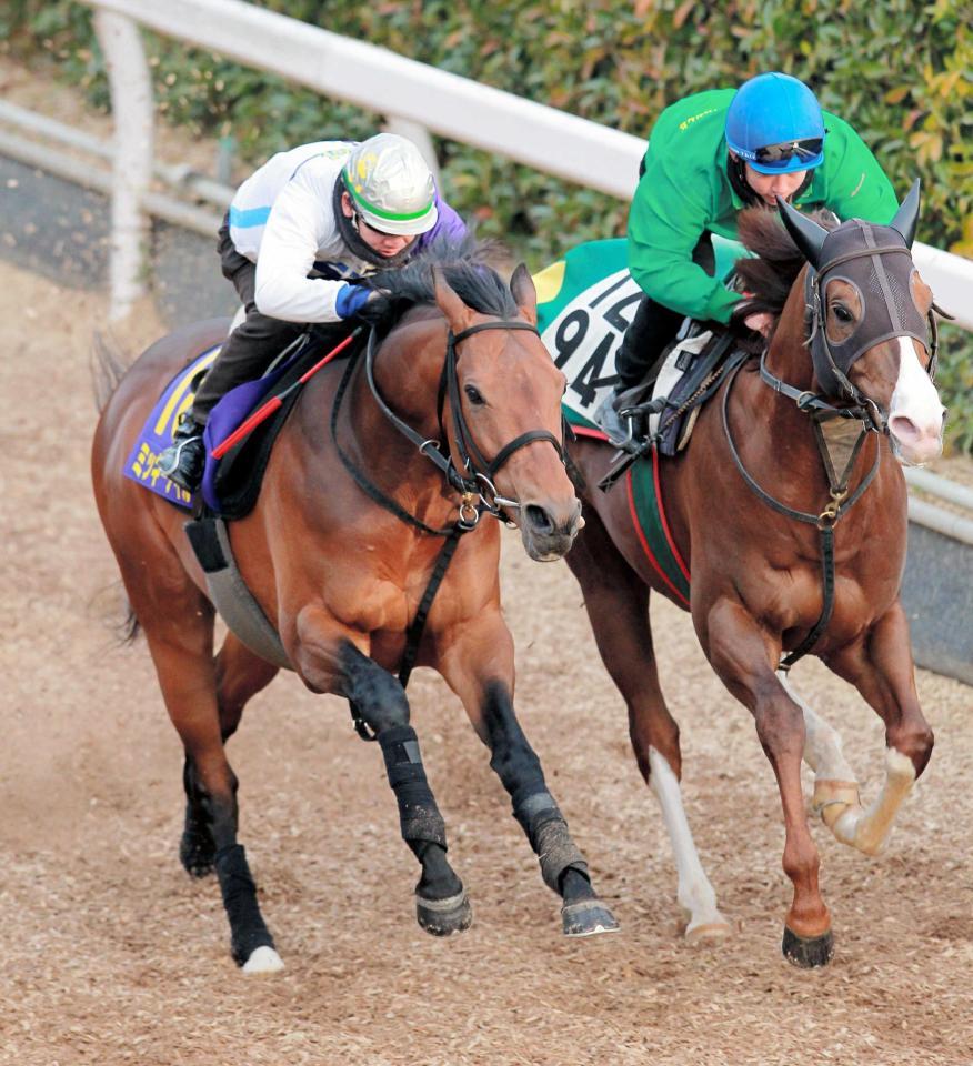 　松山を背に猛時計をマークしたミッキーアイル（左）＝撮影・石湯恒介