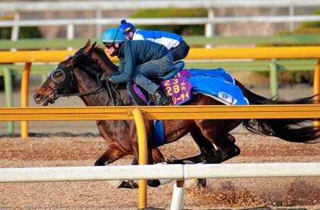 　シュタルケを背に栗東ＣＷで追い切るラブリーデイ