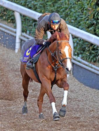 　栗東坂路で軽快な動きを披露したエイシンブルズアイ
