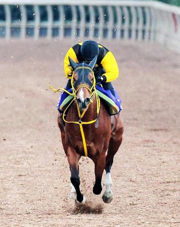 　栗東坂路で迫力満点の動きを見せたビッグアーサー