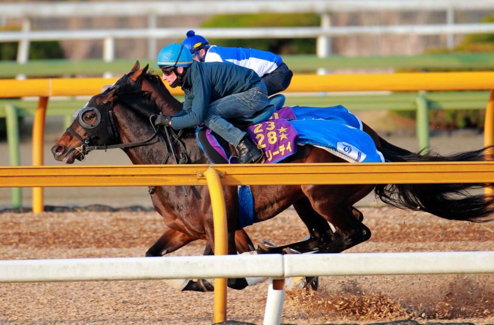 　シュタルケを背に栗東ＣＷで追い切るラブリーデイ