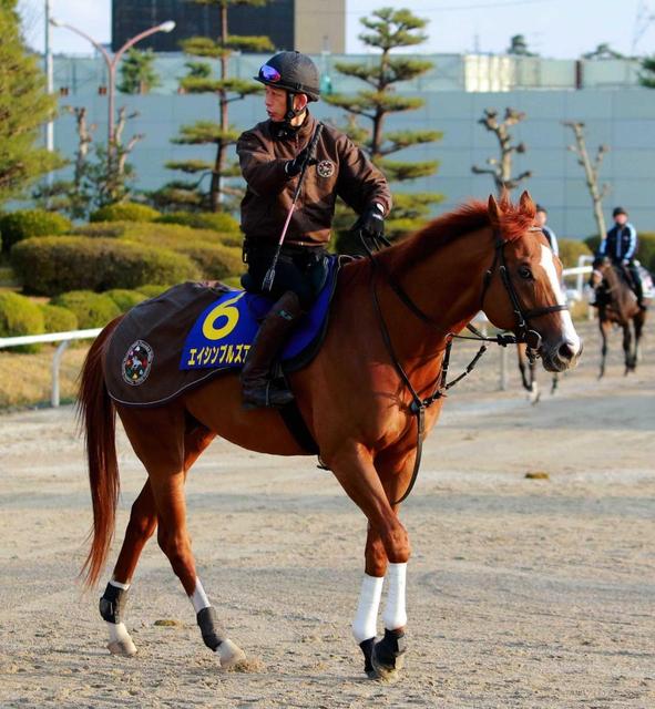 【高松宮記念】ブルズアイ「絶好調」