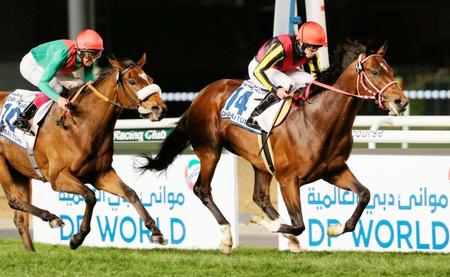 ドバイ・ターフで優勝したリアルスティール（右）＝メイダン競馬場（共同）
