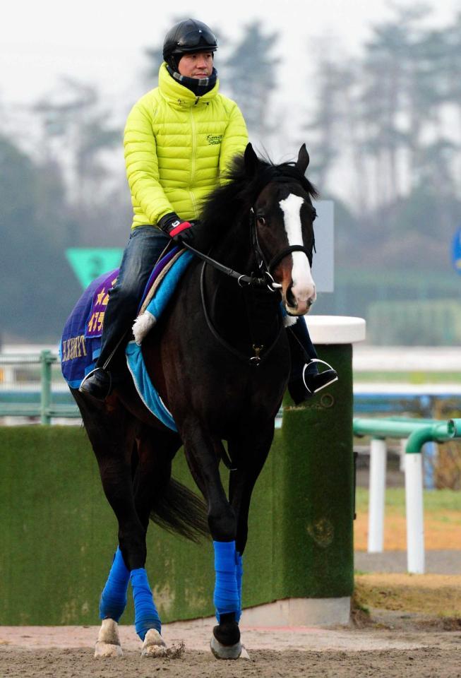 　弾みをつけてＧ１戦線へと繰り出したいイスラボニータ