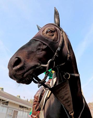 　強敵撃破に闘志を燃やすアンビシャス