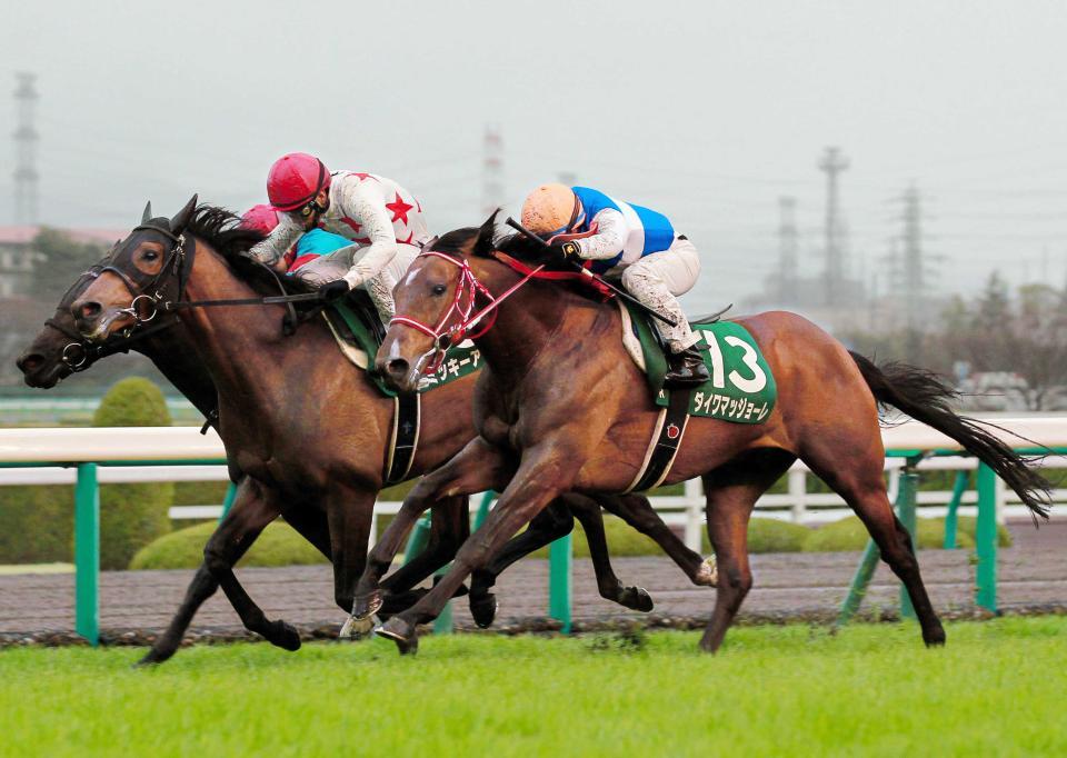 ゴール寸前で差し切って阪急杯を制したダイワマッジョーレ＝１５年３月、阪神競馬場