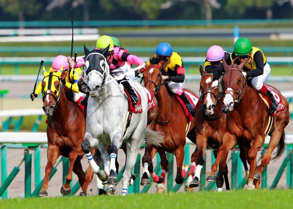 阪神牝馬ｓ スマートレイアー連勝 競馬 レース デイリースポーツ Online
