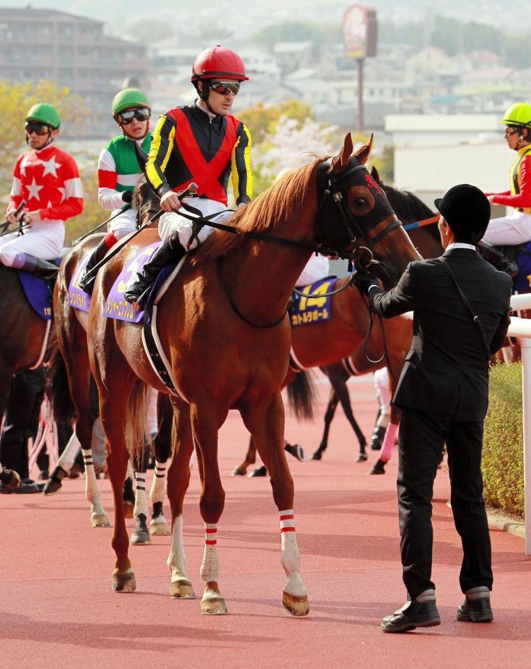 ４着に敗れたメジャーエンブレム＝阪神競馬場（撮影・石湯恒介）