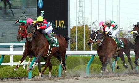 　積極的なレース運びでアンタレスＳを制したアウォーディー（左から２頭目）