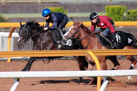 　川田を背に楽々併入を果たしたパールコード（左）
