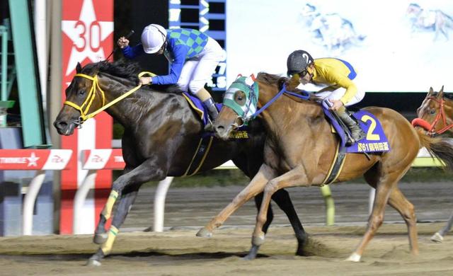 【南関東競馬】タービランスまず1冠
