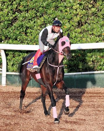 　豊富なキャリアを武器に３歳マイル王を狙うダンツプリウス