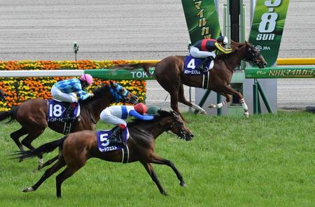 　猛追も２着のロードクエストと池添（手前）