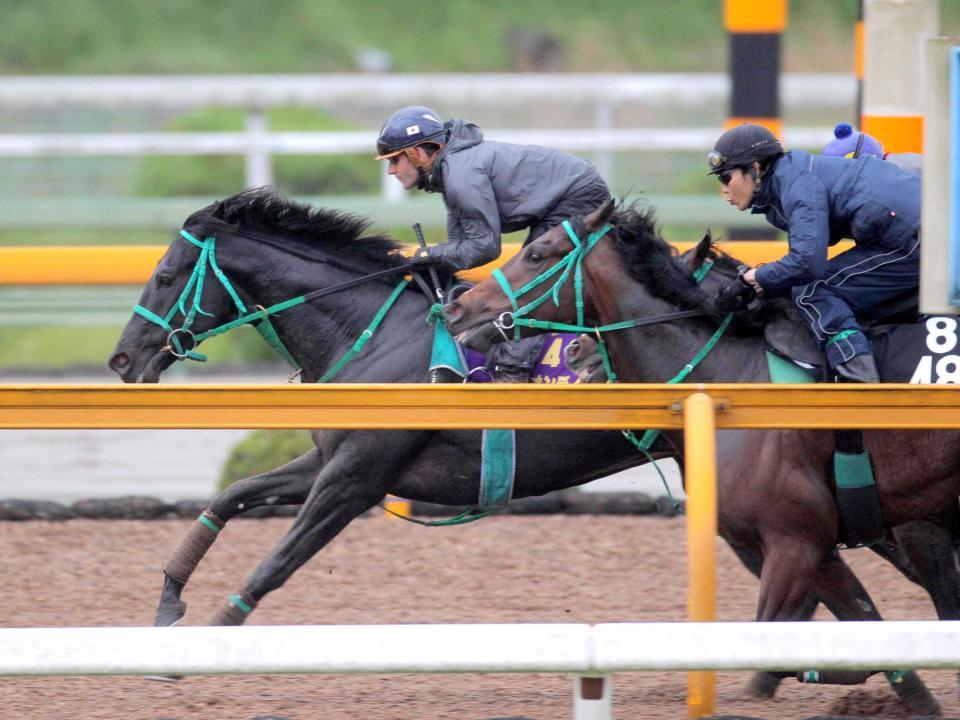 　栗東ＣＷで鋭い伸びを見せたリオンディーズ（左）