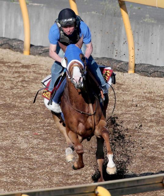 【VM】ブリリアント、福永で一発狙う