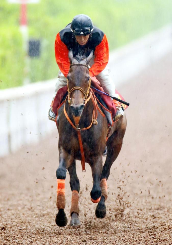 ショウナンパンドラ