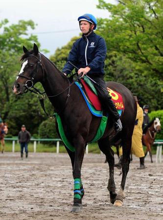 　ボウマンとの新コンビでＧ１初制覇を狙うマジックタイム