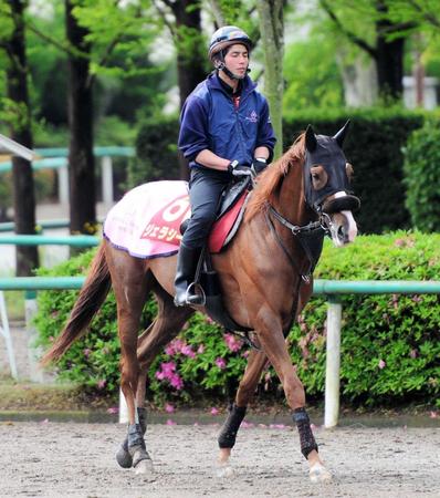 　上昇度ナンバーワンのジェラシー