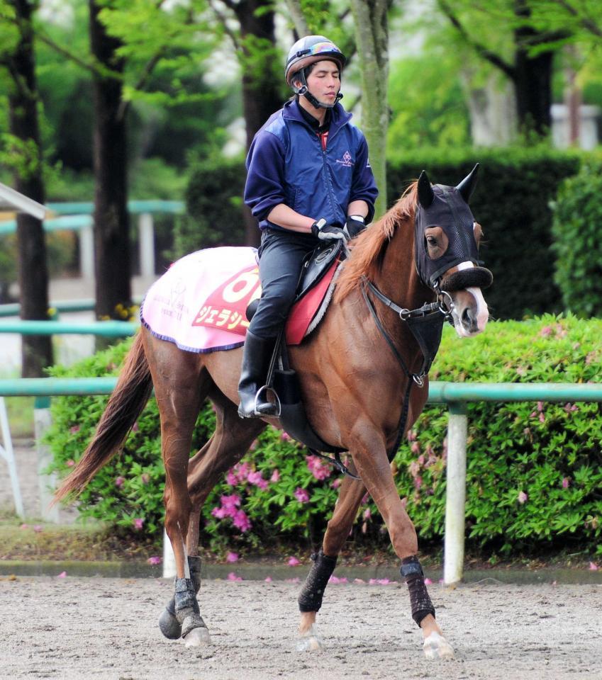 　上昇度ナンバーワンのジェラシー