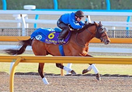 　栗東ＣＷで鋭い動きを見せたサトノダイヤモンド