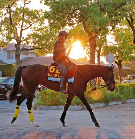 　Ｇ１初制覇に向けて好気配を漂わせるシンハライト