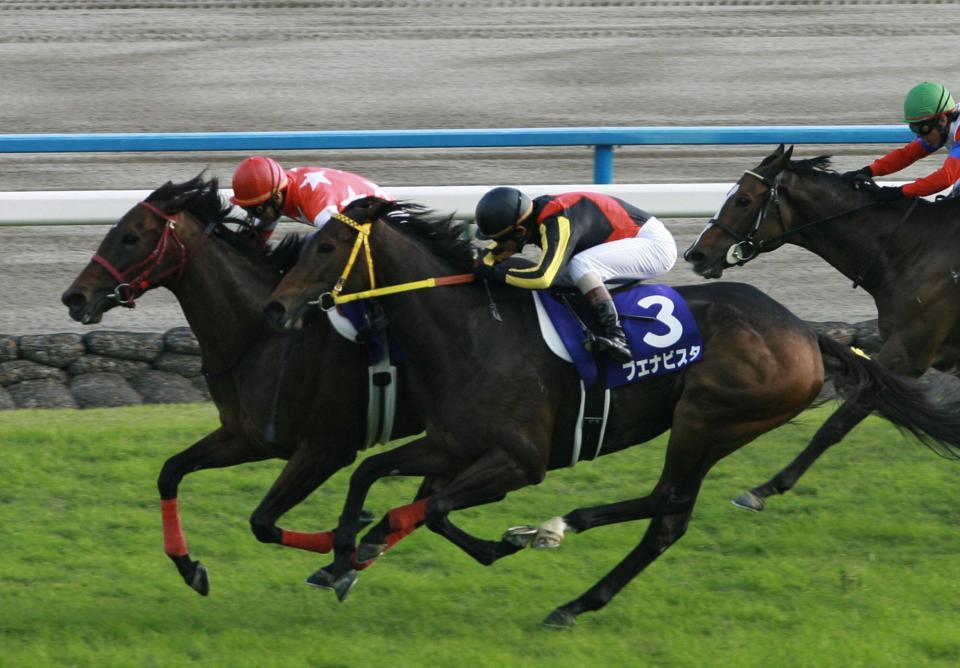 ０９年の秋華賞を制したレッドディザイア（左）＝京都競馬場