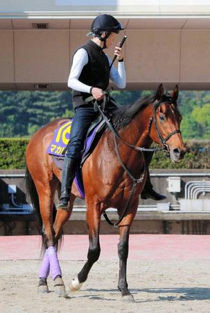 　不安なしのマカヒキ