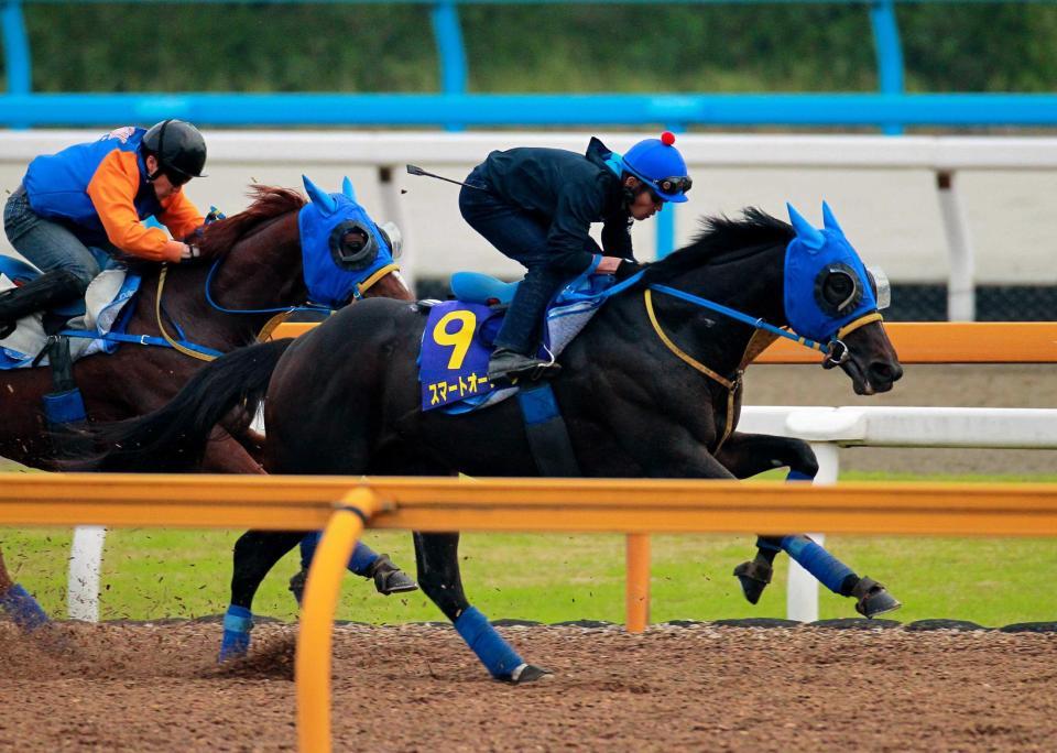 　戸崎圭を背に栗東ＣＷで追い切るスマートオーディン