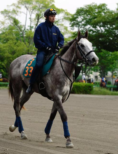 五郎丸公認の競走馬がデビュー間近　「ゴロウマルウィン」が６・１８東京で