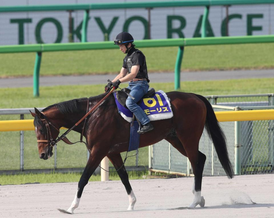 　Ｇ１・５連勝を狙うモーリス