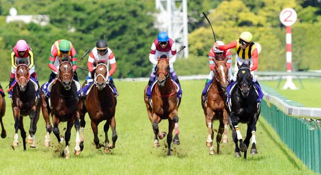 デイリースポーツ