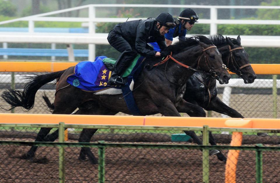 　美浦Ｗで順調をアピールしたドゥラメンテ（手前）