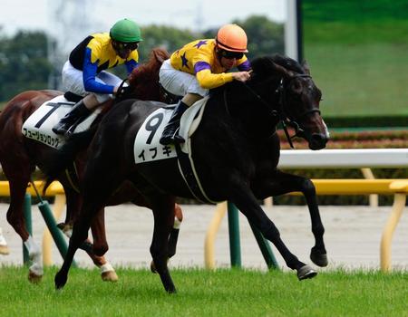５Ｒ、メイクデビュー東京を制したイブキ（手前）＝東京競馬場（撮影・三好信也）