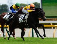 ５Ｒ、メイクデビュー東京を制したイブキ（手前）＝東京競馬場（撮影・三好信也）