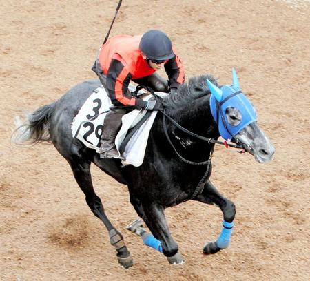 　海外Ｇ１・３連勝を決めるか注目が集まるエイシンヒカリ