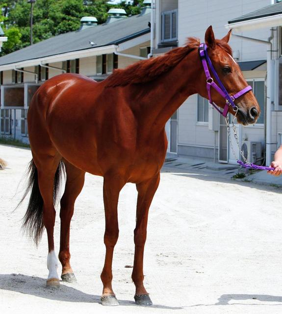 【函館ＳＳ】ドンキ北で快速復活目指す