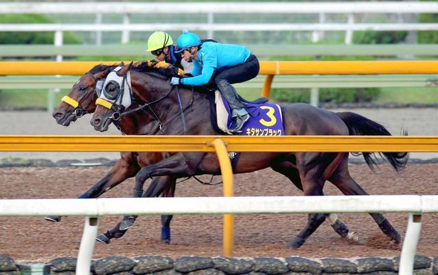 【宝塚記念】ブラックさらに成長！ファン投票１位“祭り”の準備着々