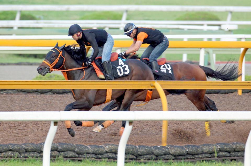 　栗東ＣＷで迫力満点に追い切られたゴールドドリーム（左）