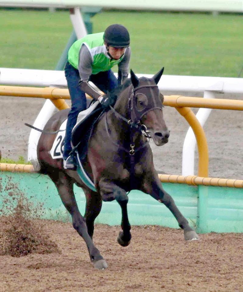 　函館Ｗを軽快に駆けるアクティブミノル