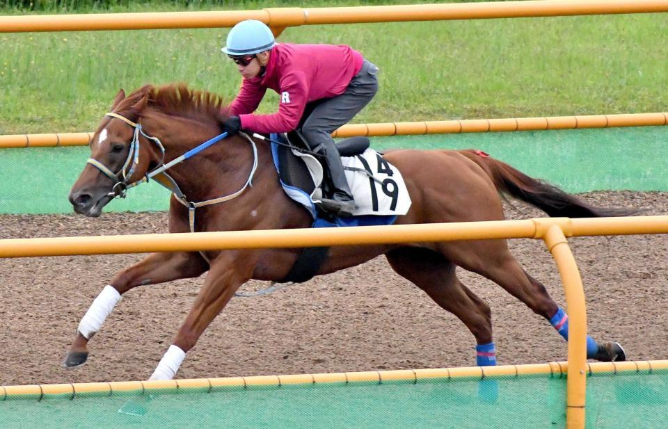 　池添を背に力強い動きを披露したティーハーフ