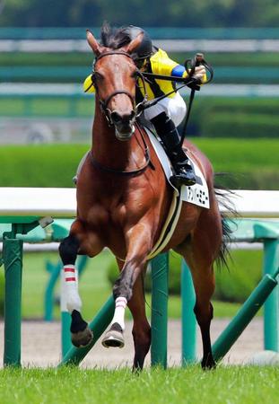 新馬戦を快勝したアンバーミニー＝阪神競馬場（撮影・石湯恒介）