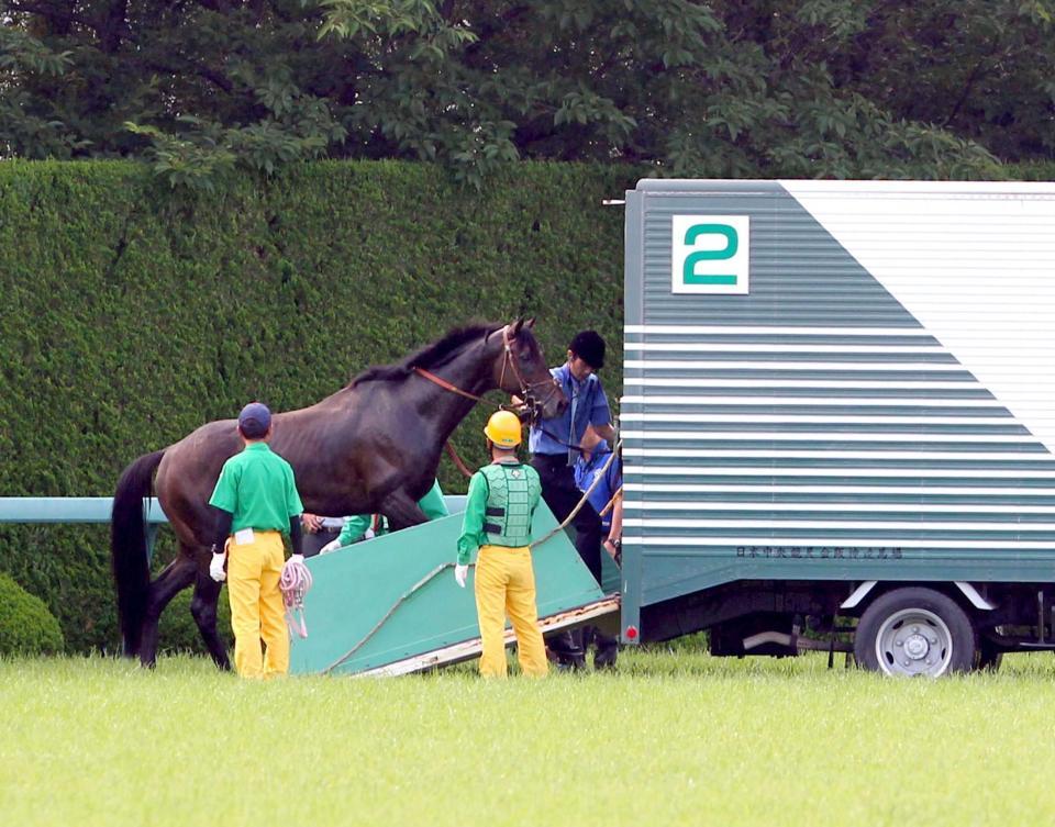　故障し馬運車に乗せられるドゥラメンテ（撮影・山口登）