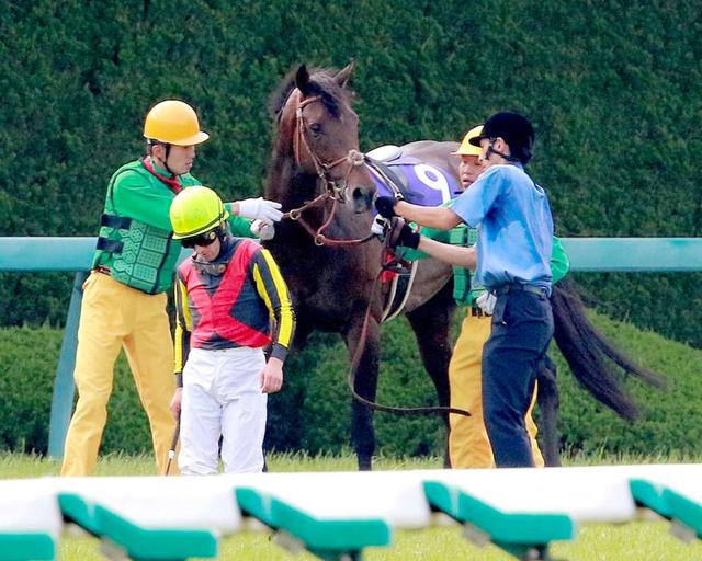 宝塚記念２着入線後故障のドゥラメンテ　引退も「楽観視できない」
